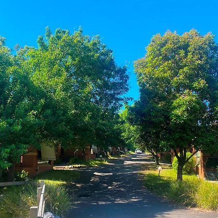 Mount Waverley Townhouses Экстерьер фото
