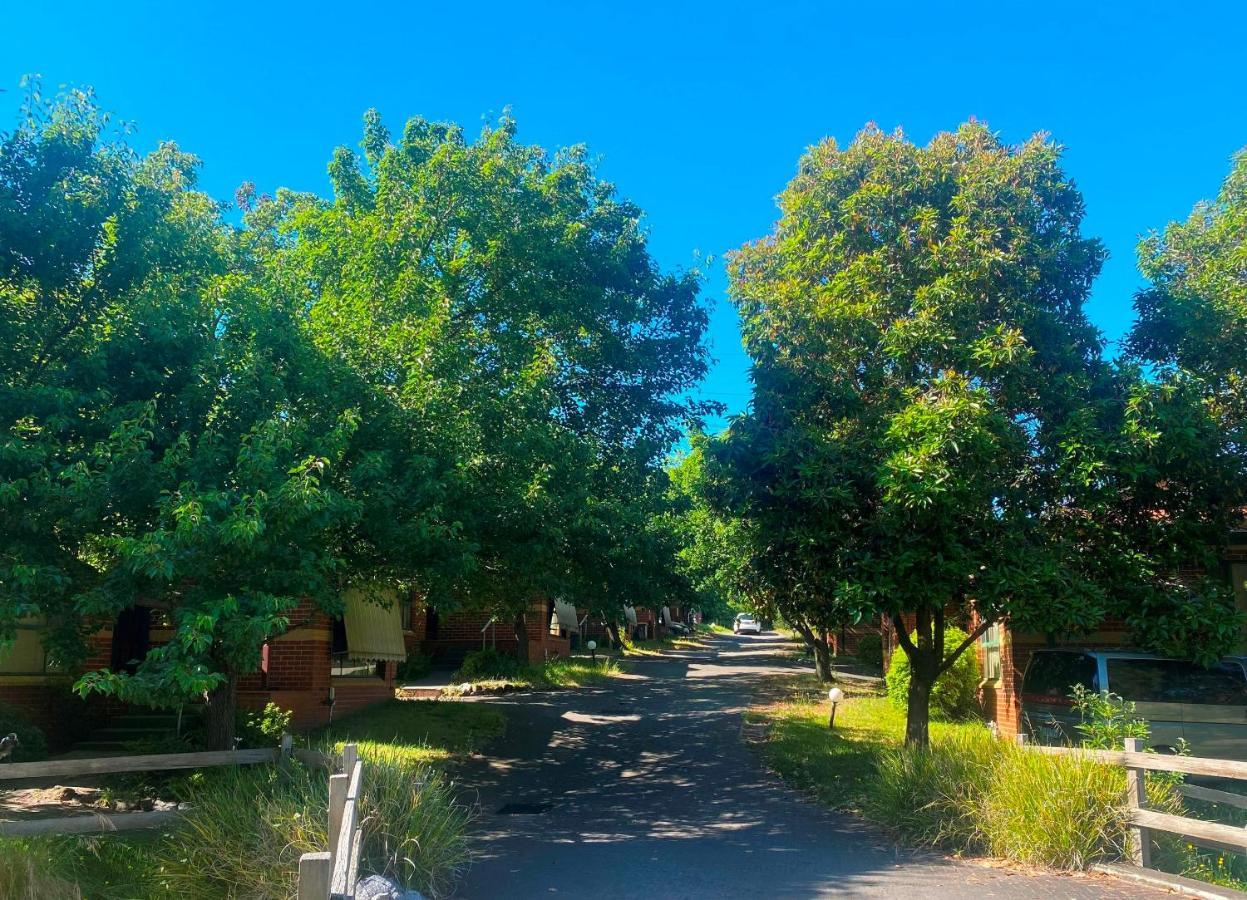 Mount Waverley Townhouses Экстерьер фото