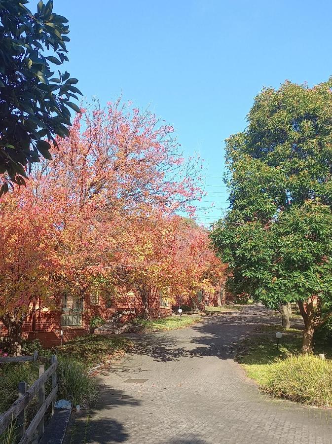 Mount Waverley Townhouses Экстерьер фото