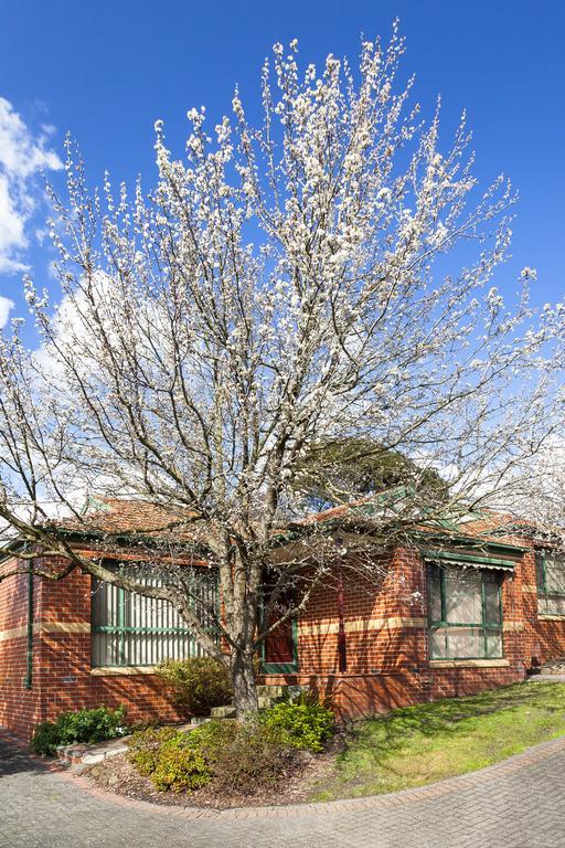 Mount Waverley Townhouses Экстерьер фото